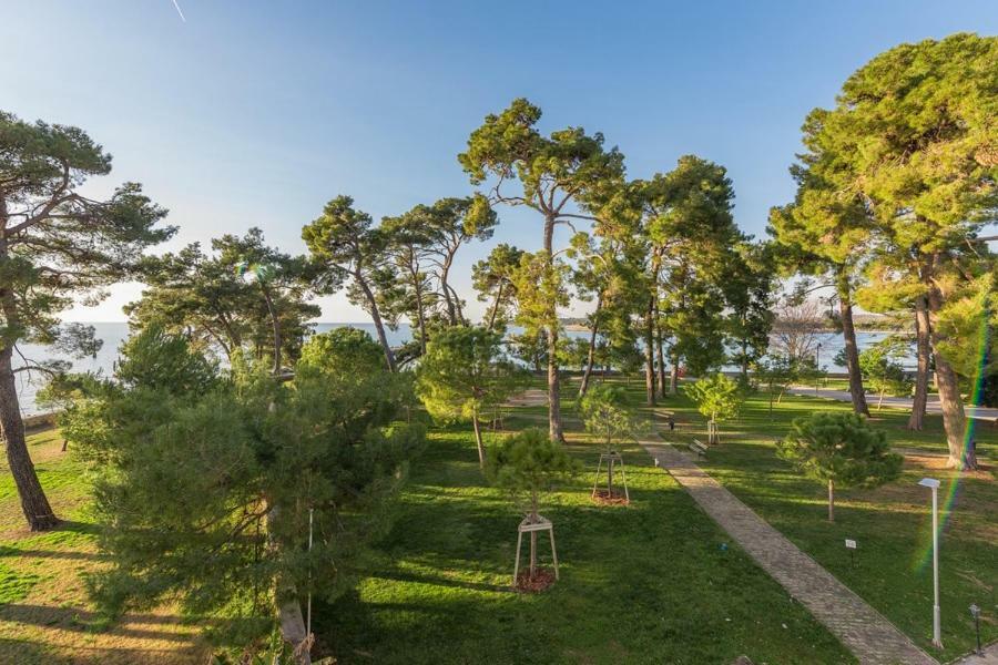 Apartment Hannah Novigrad Istria 외부 사진