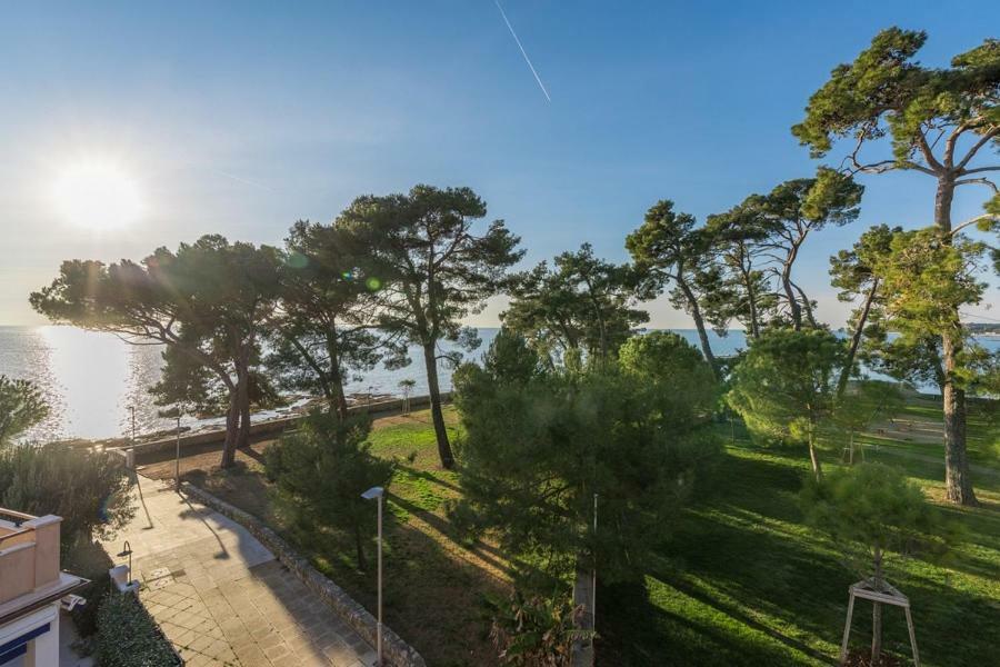 Apartment Hannah Novigrad Istria 외부 사진