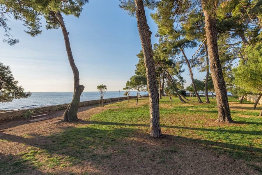 Apartment Hannah Novigrad Istria 외부 사진